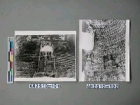 藏品(大同雲崗石窟)的圖片